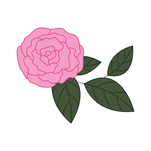 Piękna róża z liści na białym tle ikona — Wektor stockowy