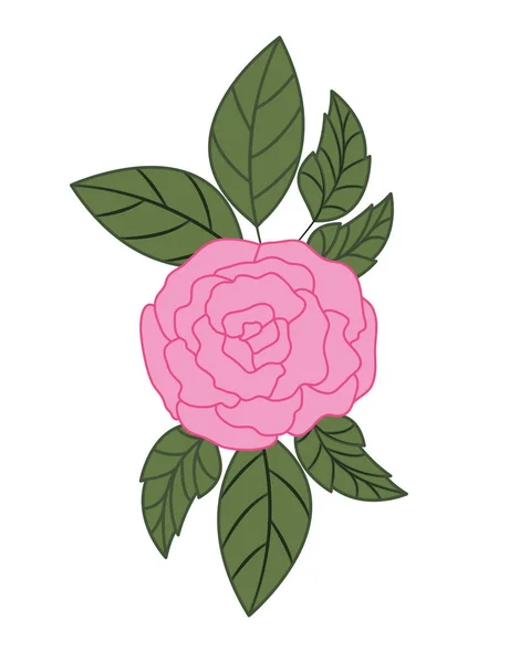 Красивая роза с листочками изолированный значок — стоковый вектор