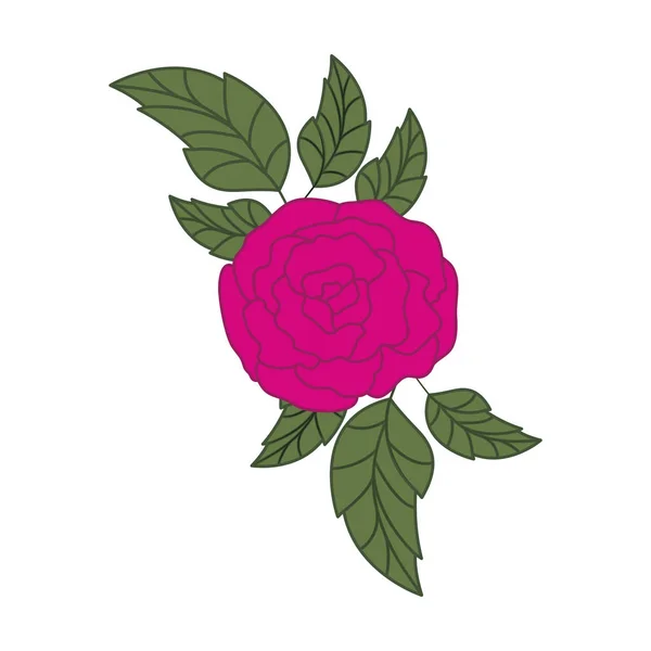 Belle rose avec des feuilles icône isolée — Image vectorielle