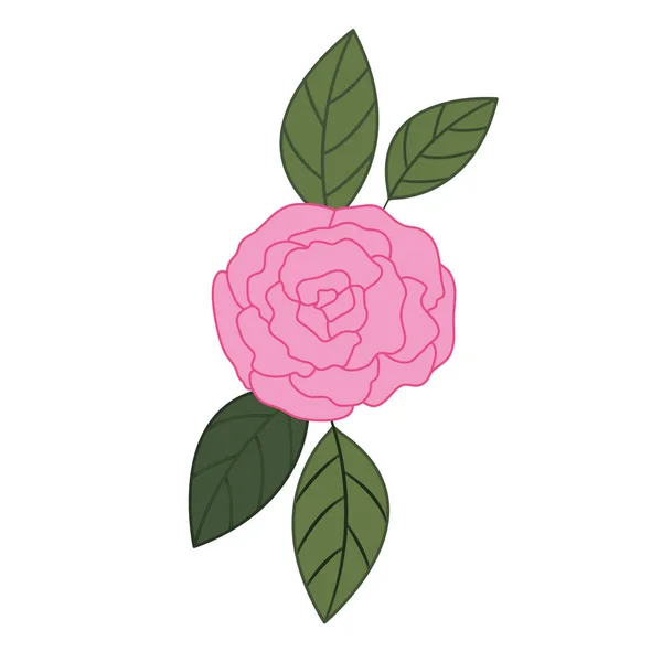 Belle rose avec des feuilles icône isolée — Image vectorielle