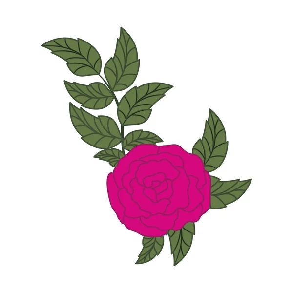 Belle rose avec des feuilles icône isolée — Image vectorielle
