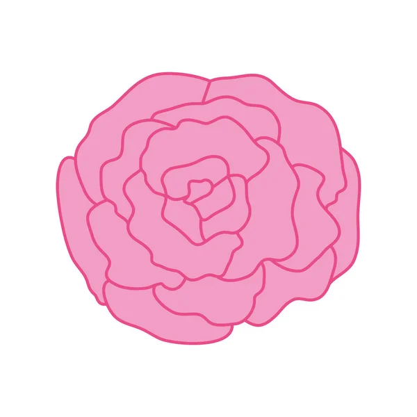 Beautiful rose isolated icon — Stock Vector