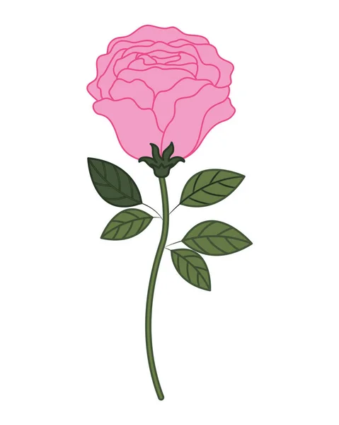 Hermosa rosa con hojas icono aislado — Vector de stock