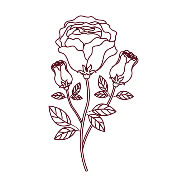 Vacker ros med leafs isolerade ikonen — Stock vektor