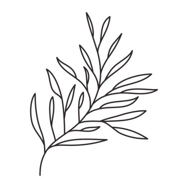 dal yaprak izole simgesiyle