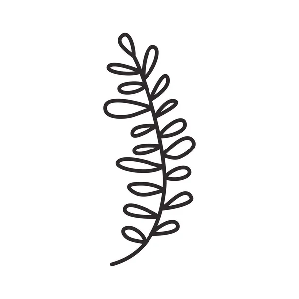 Branche avec icône isolée feuille — Image vectorielle