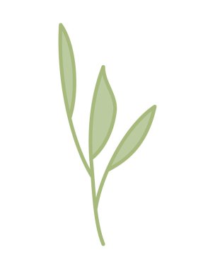 şube ile izole yaprak simge vektör çizim tasarım