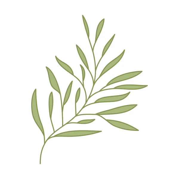 Rama con icono de hoja aislada — Vector de stock