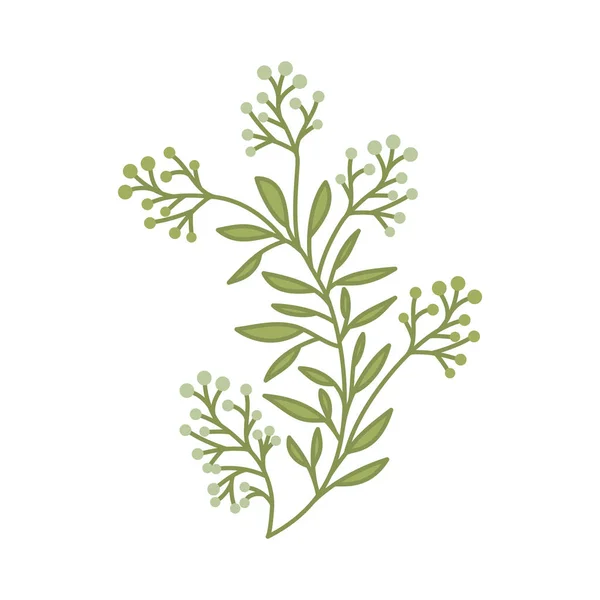 Цветы с листочками изолированный значок — стоковый вектор