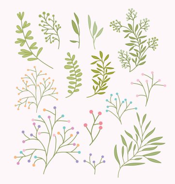 bahar dalları ve yaprakları