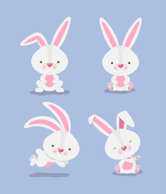 Bir grup şirin tavşan.