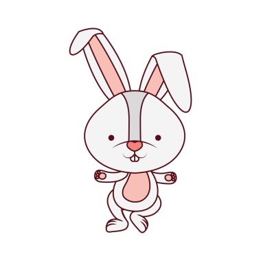 sevimli tavşan izole simgesi