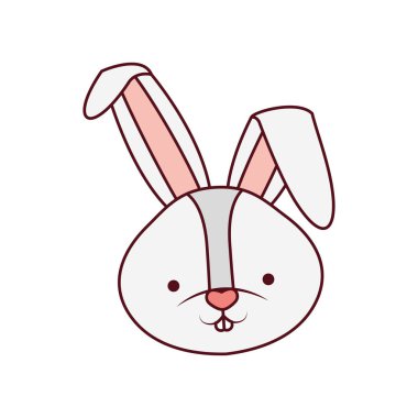 tavşan baş izole simgesi