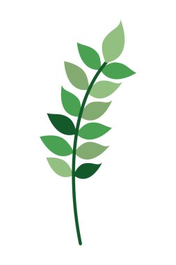 dal yaprak izole simgesiyle