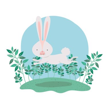 Şubeler ve yaprakları izole simgesi olan tavşan