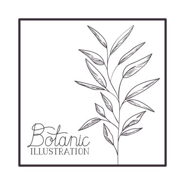 dal ve yaprak çizilmiş kare çerçeve