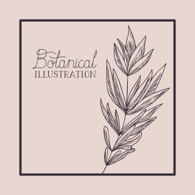 dal ve yaprak çizilmiş kare çerçeve