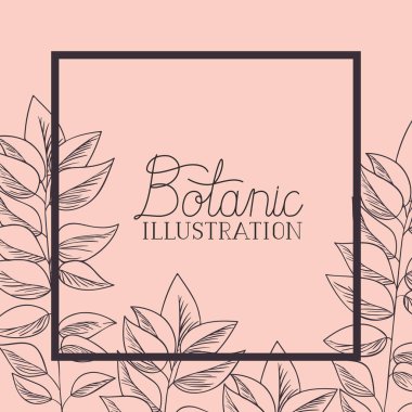 Botanik bitkiler ve otlar kare çerçeve