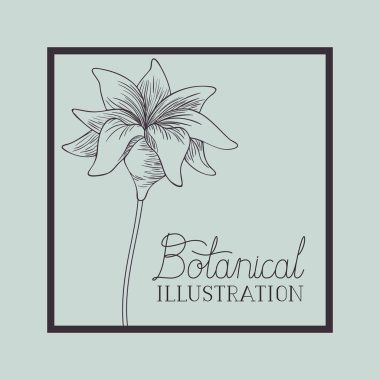 lily çiçekler çizilmiş kare çerçeve