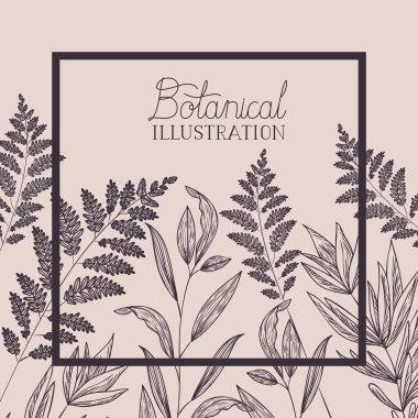 Botanik bitkiler ve otlar kare çerçeve