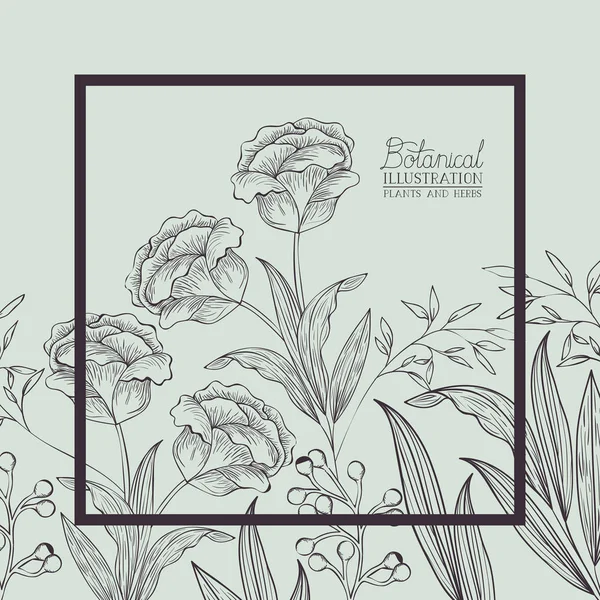 Rozen decoratieve vierkante Bloemenlijst — Stockvector