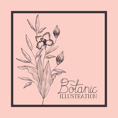 lily çiçekler çizilmiş kare çerçeve