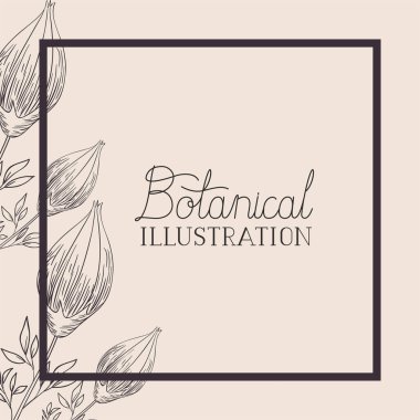 Lily çiçekler dekoratif kare çerçeve