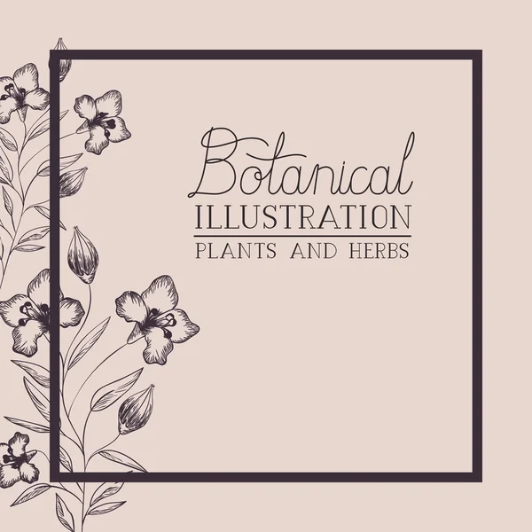 Lily çiçekler dekoratif kare çerçeve — Stok Vektör