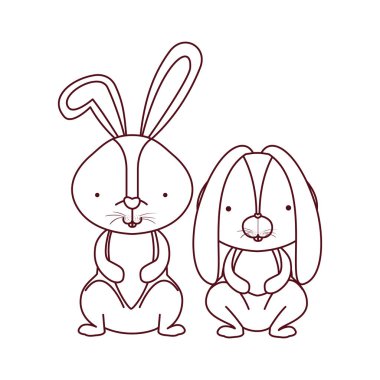 sevimli tavşanlar izole simgesi