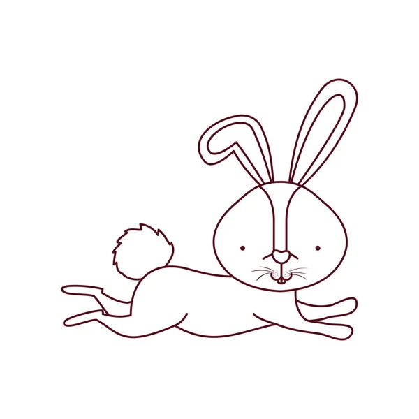 Cute rabbit isolated icon — Stock Vector