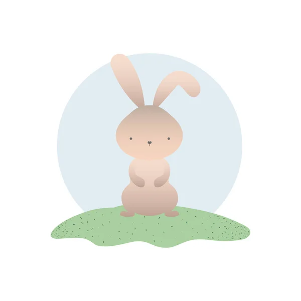 Cute rabbit isolated icon — Stock Vector