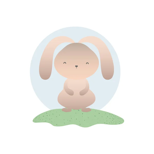 Cute rabbit isolated icon — Stock Vector