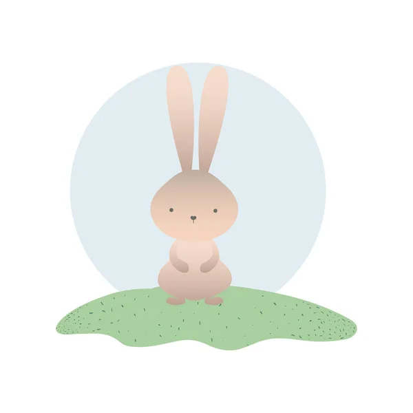 귀여운 토끼 고립 된 아이콘 — 스톡 벡터