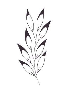 dal yaprak izole simgesiyle