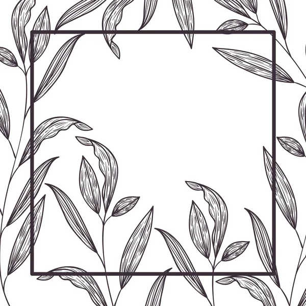 Gałęzi i liści z ikona na białym tle ramki — Wektor stockowy