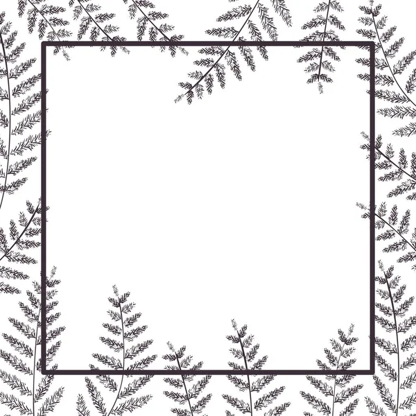 Branch dan leaf dengan frame ikon terisolasi - Stok Vektor