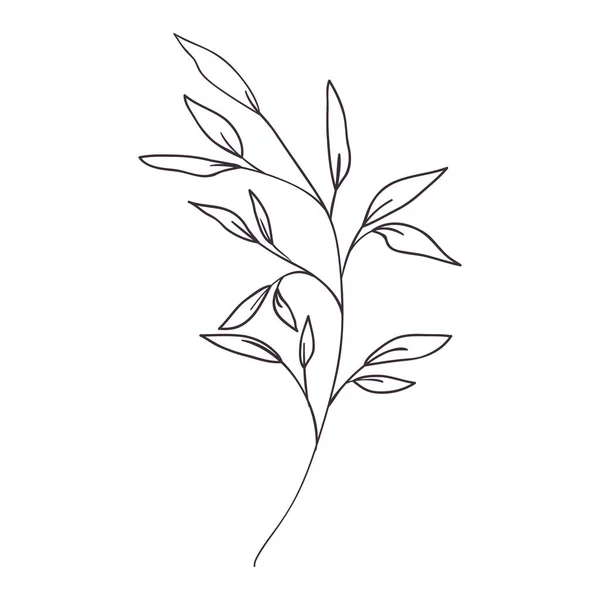 分枝与叶隔绝图标 — 图库矢量图片