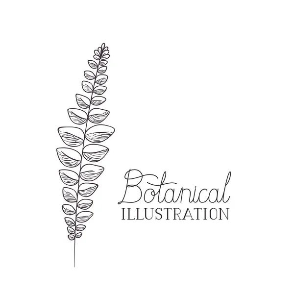 Etiqueta de ilustración botánica con planta — Vector de stock