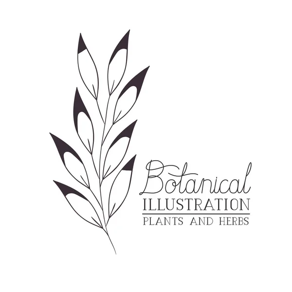 Bitki botanik illüstrasyon etiketle — Stok Vektör