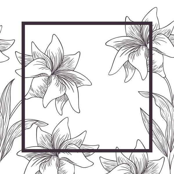 Bloemen en blaadjes met frame geïsoleerde pictogram — Stockvector