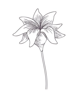 çiçekler ve yapraklar izole simgesi