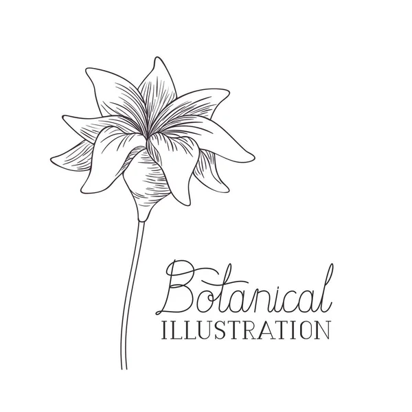 Etichetta illustrazione botanica con pianta — Vettoriale Stock