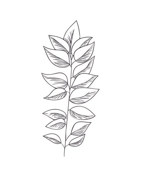 꽃과 잎 고립 된 아이콘 — 스톡 벡터