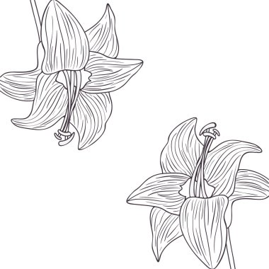 çiçek desen ve izole simgesi yapraklar