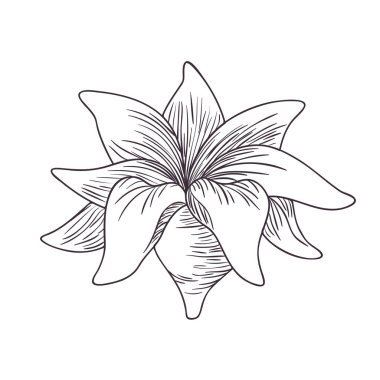 çiçekler ve yapraklar izole simgesi