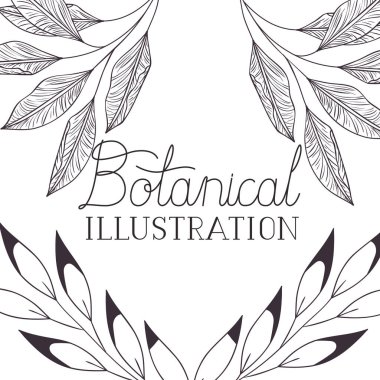 bitkiler botanik illüstrasyon etiketle