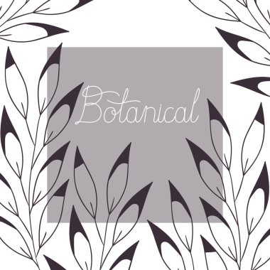 bitkiler botanik illüstrasyon etiketle