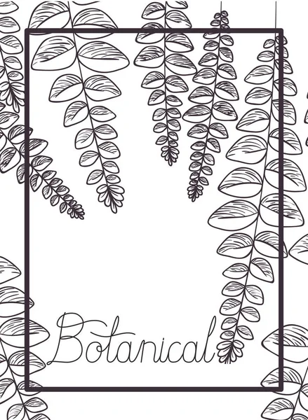 Etichetta botanica con icona piante isolate — Vettoriale Stock