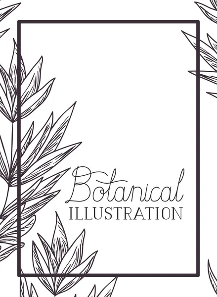 Botanická ilustrace popisek s rostlinami — Stockový vektor