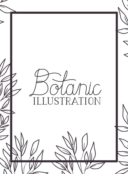 Botanic illustration label with plants — Stock Vector